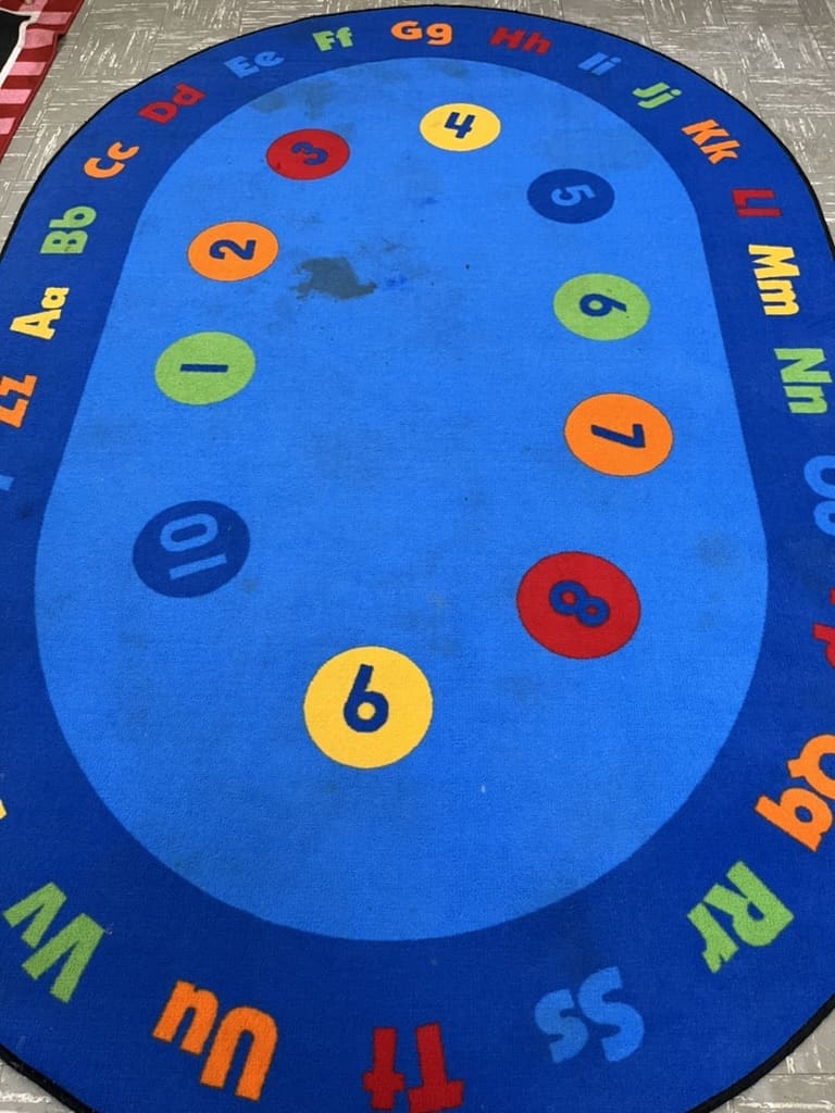Dirty Area Carpet
